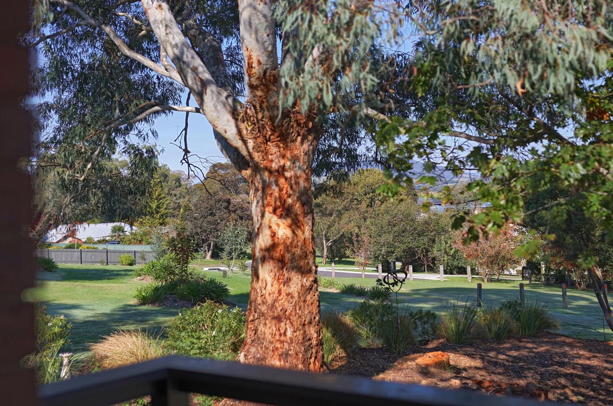 Motel Yarra Gables Healesville Esterno foto